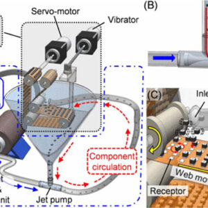 Roll-to-roll fluidic self-assembly