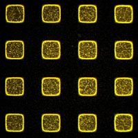 Image of epitaxial GaN islands under UV excitation