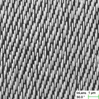 Highly ordered InP nanowires grown by VLS process using MOCVD